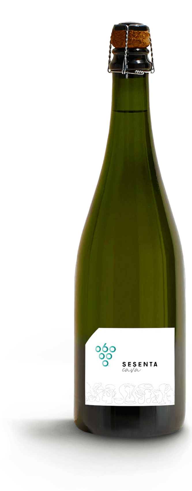 Wine Bottle