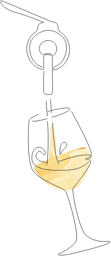 Sip Sustainabily